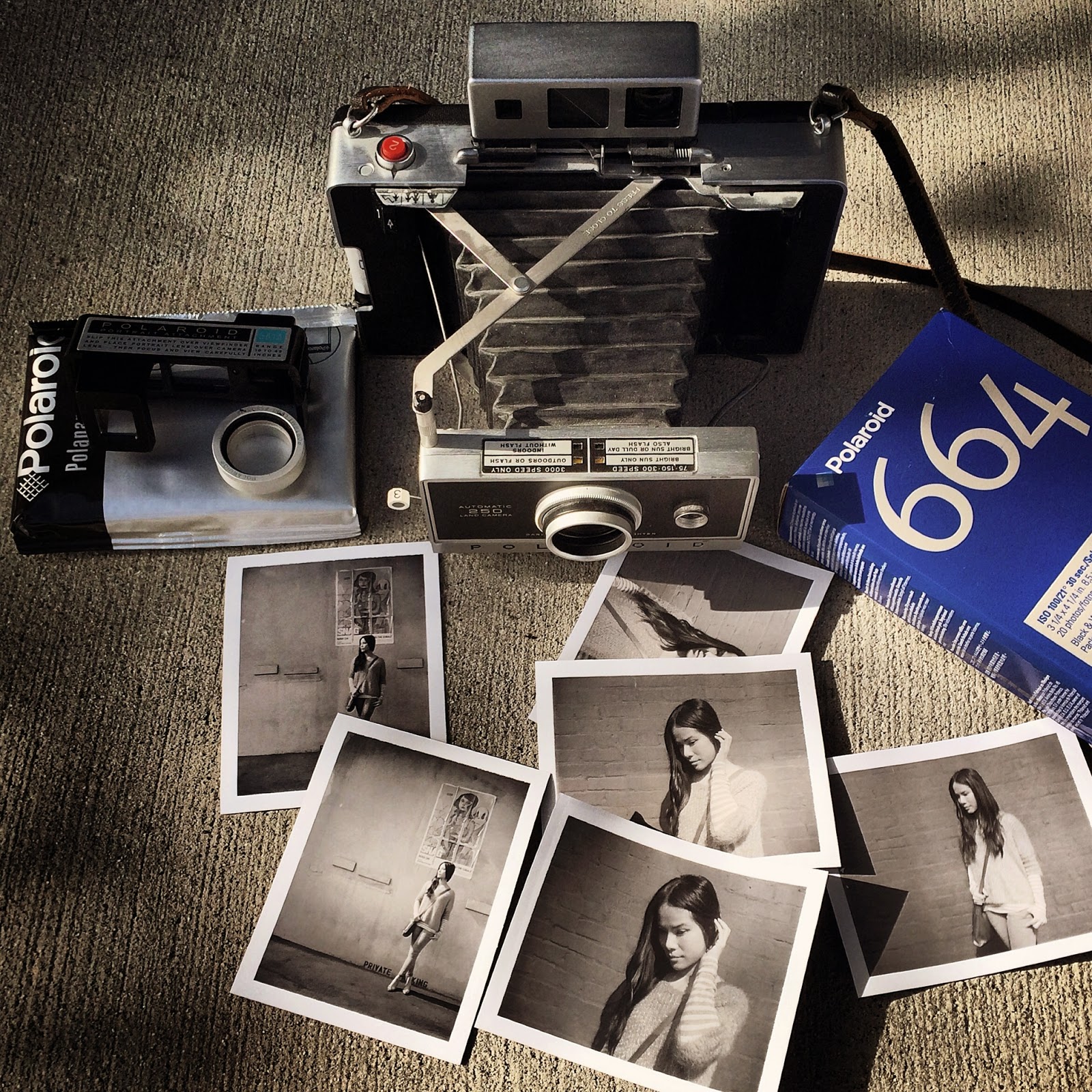 Polaroid® 667 Film