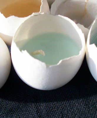make a candle with eggs