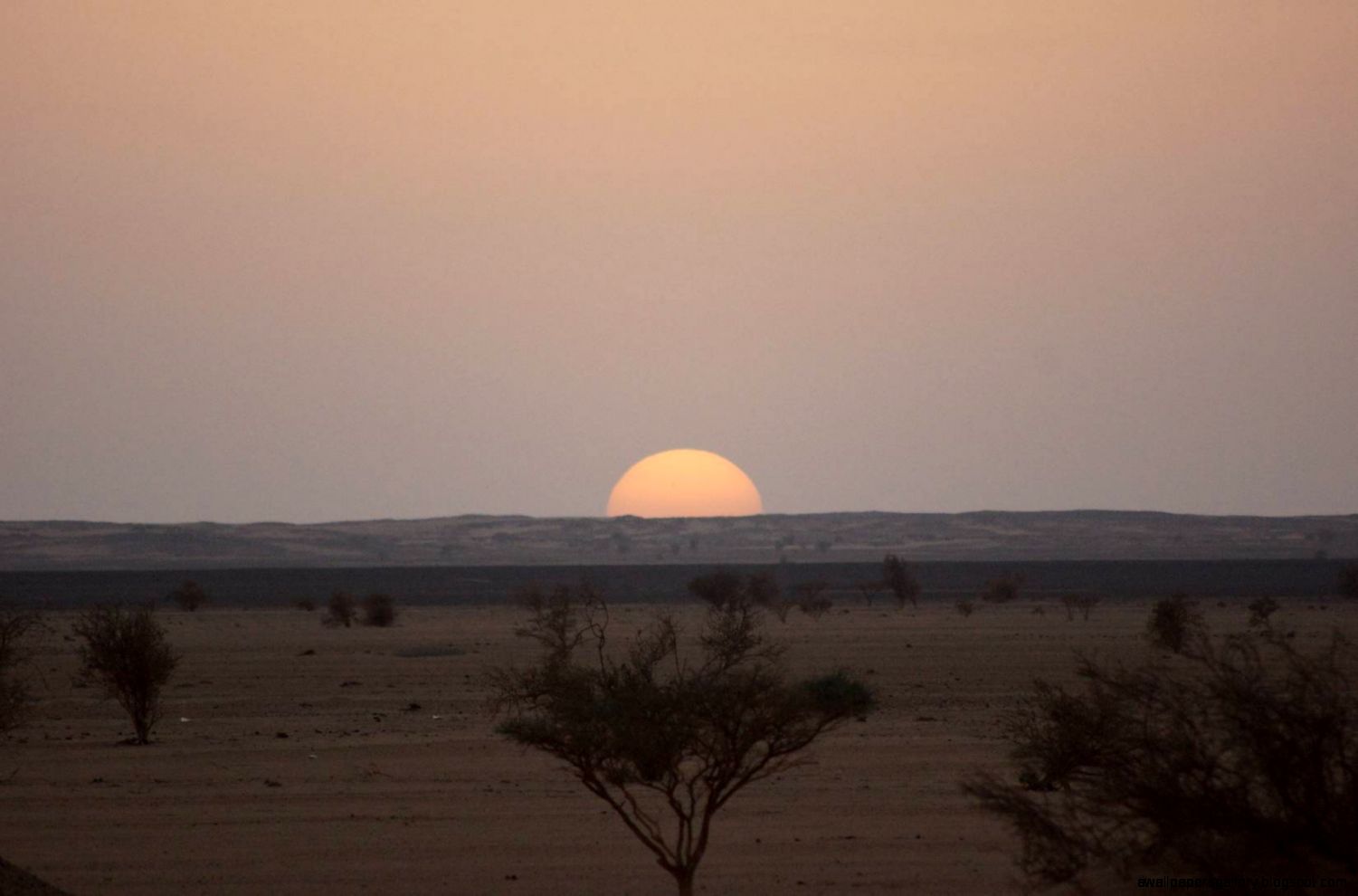 sunset over sahara desert Sam Thomson Cycle touringtravel Photo sunset over sahara desert Sam Thomson Cycle touringtravel Photo