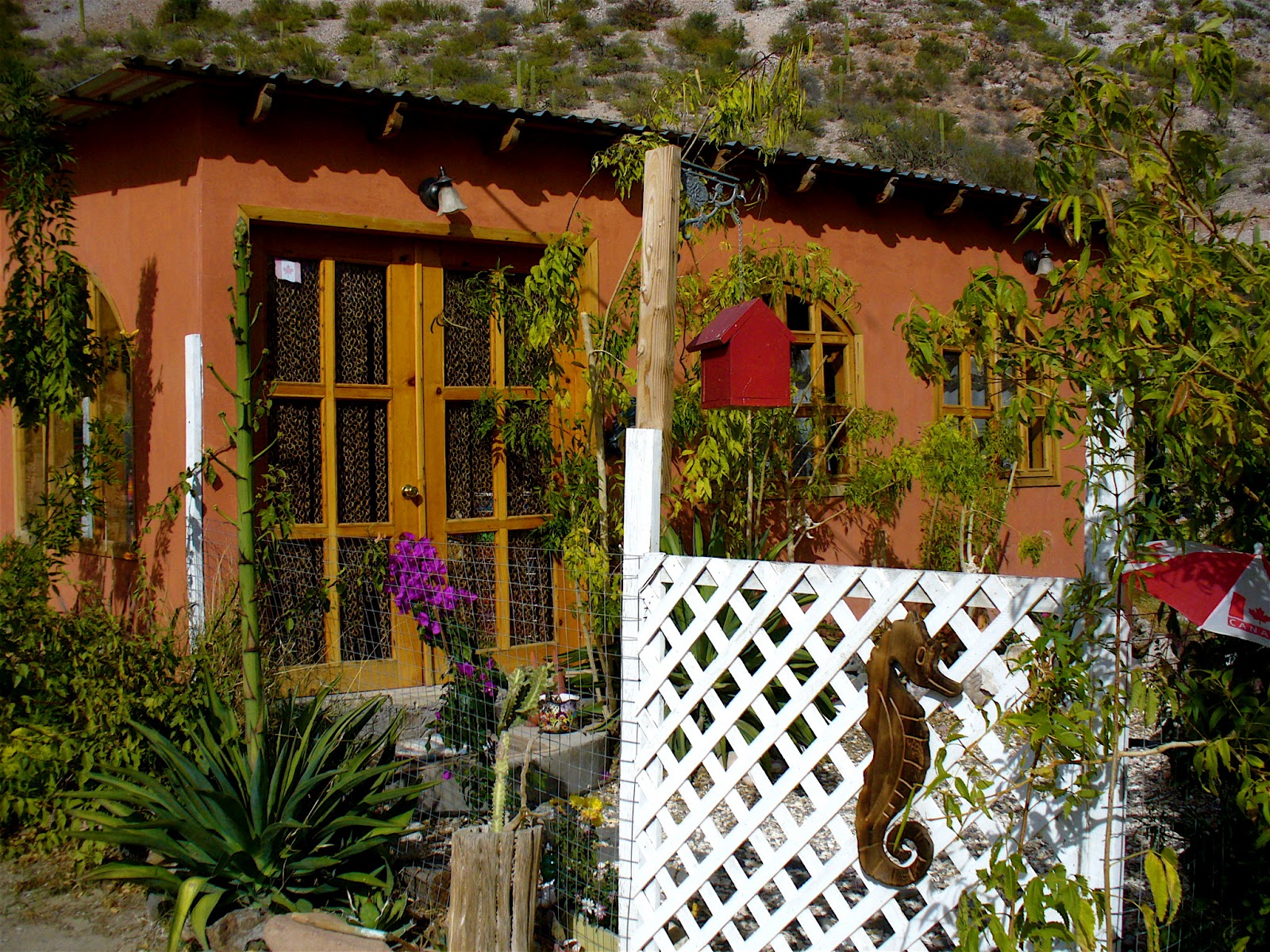 Alt. Build Blog Small Homes In Mulege, Baja California Sur