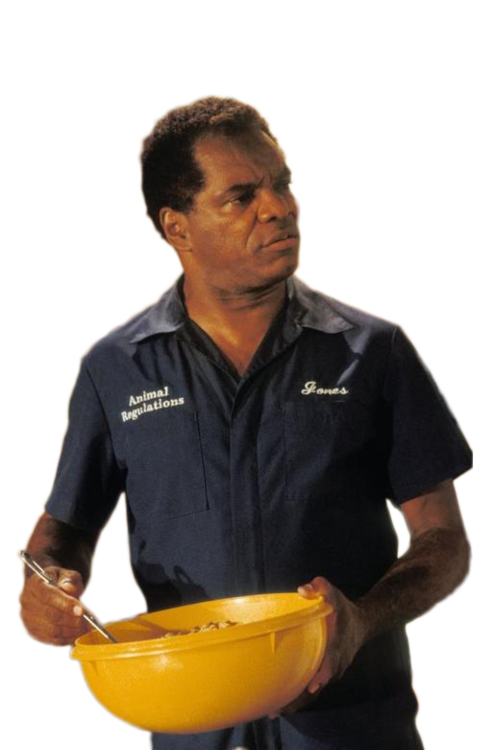 Every Time I Come In The Kitchen You In The Kitchen I R Writer