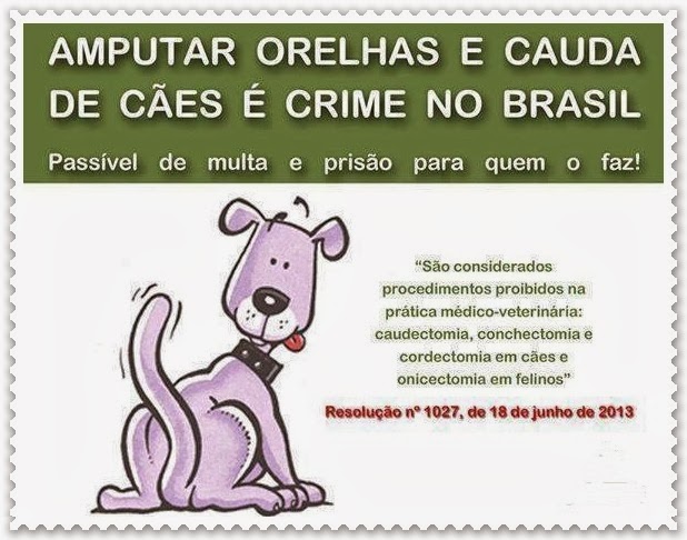 Não à crueldade estética!