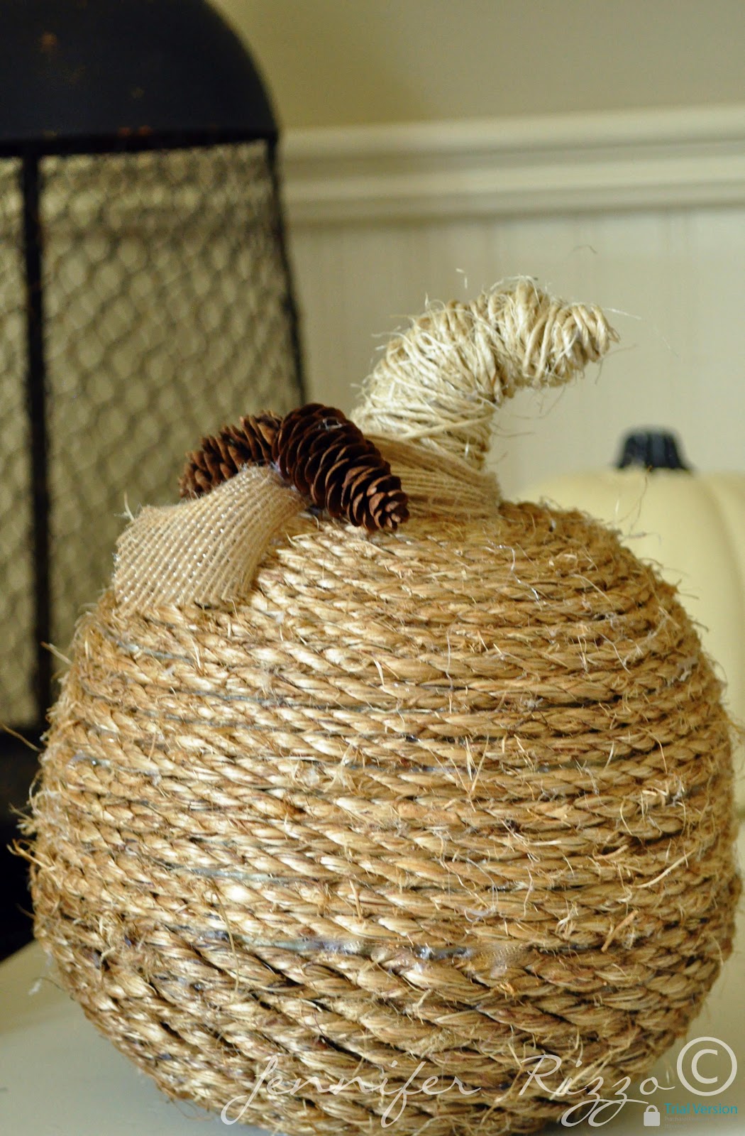 Twinewrapped pumpkin.... Jennifer Rizzo