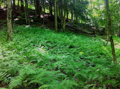 frost alumni valley al session done