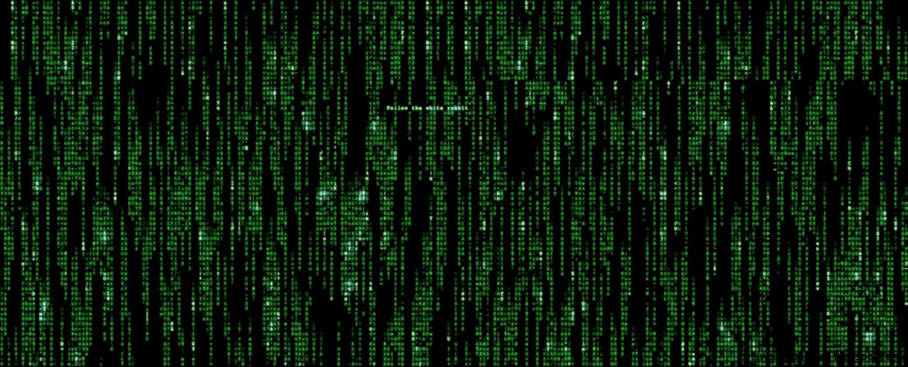Dual Monitor Wallpaper Animated WallpaperSafari Dual Monitor Wallpaper Animated WallpaperSafari