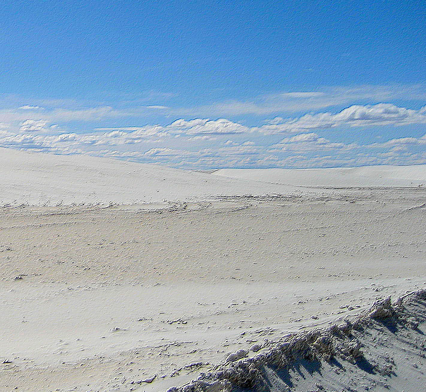 Living Rootless Alamogordo White Sands, Walmart, and LentEdible