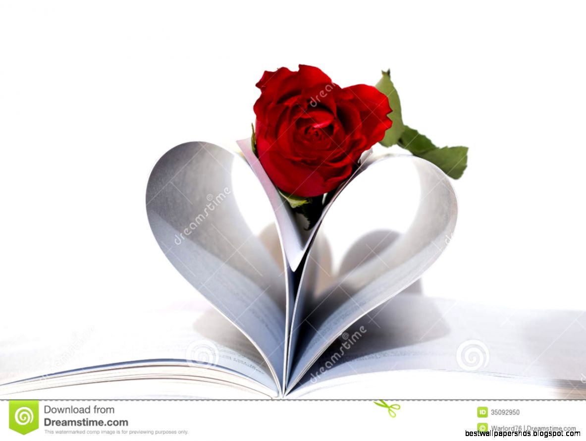Stock Photo Book with rose Image 35092950 Stock Photo Book with rose Image 35092950