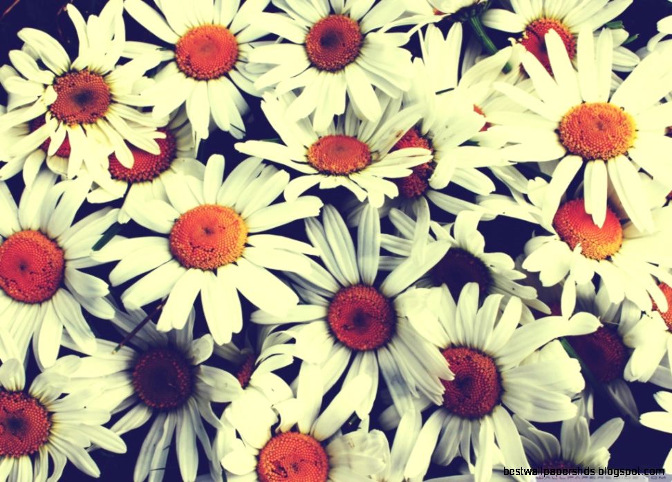 Pretty Wallpapers Pics K7N » Pretty Wallpapers Pics K7N »