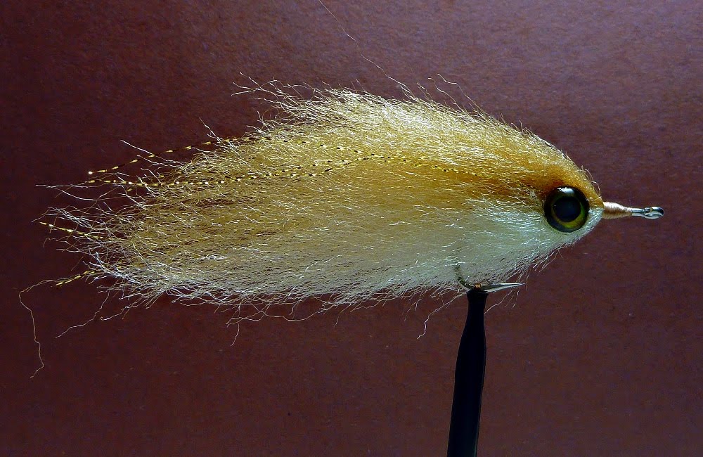 Fish Eat Flies Sucker baitfish