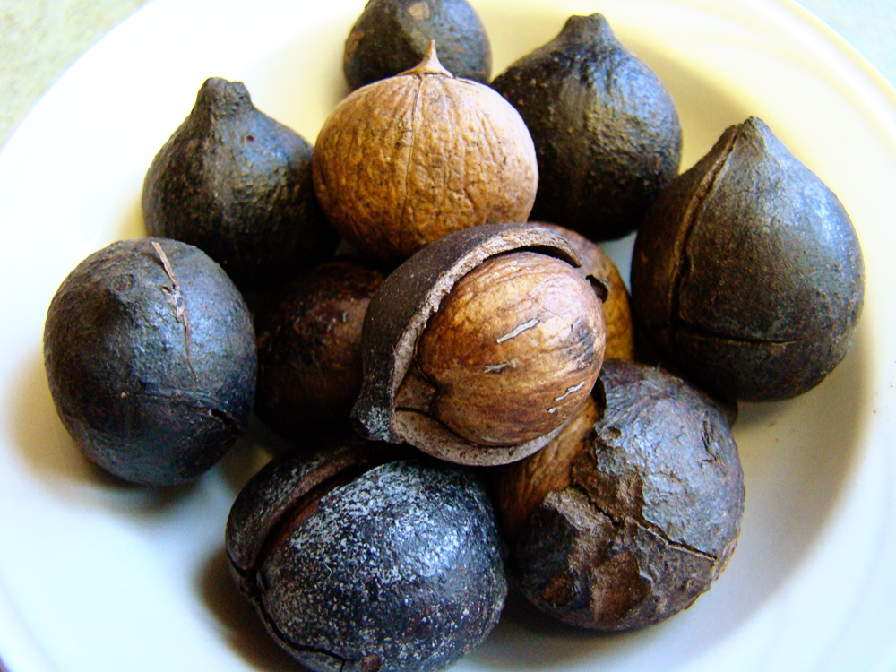 Rurification Pignuts?