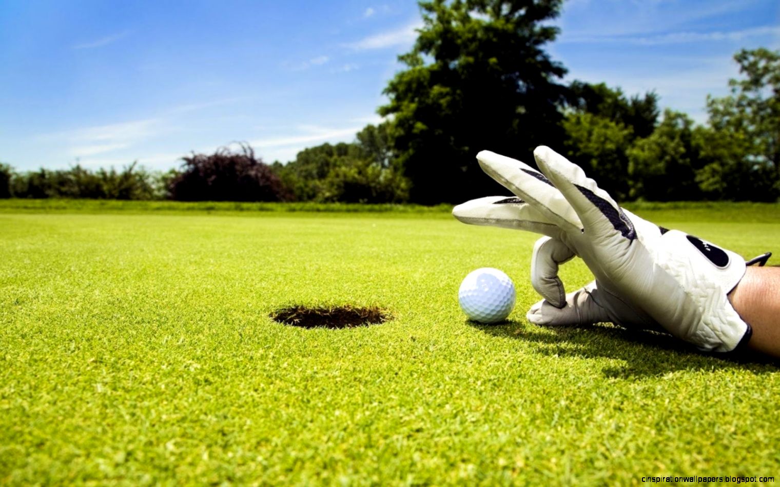 Golf Facebook Cover Golf Facebook Cover