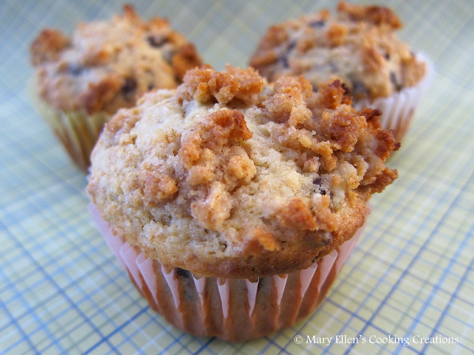 Mary Ellen's Cooking Creations Graham Cracker Chocolate Chip Muffins