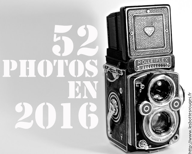 52 semaines en photos 2016