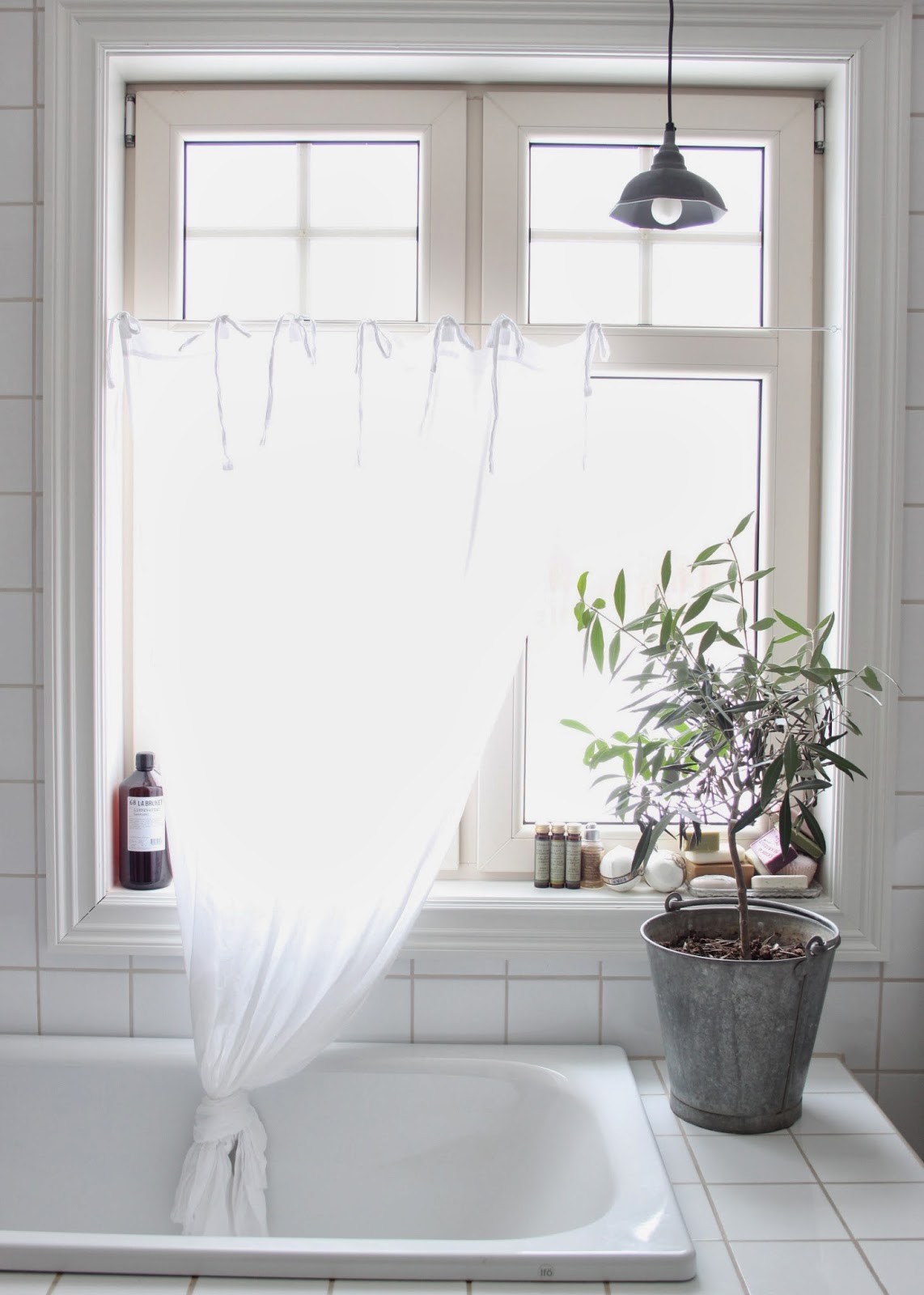 Add: design / anna stenberg / lantligt på svanängen: olivträd i ...