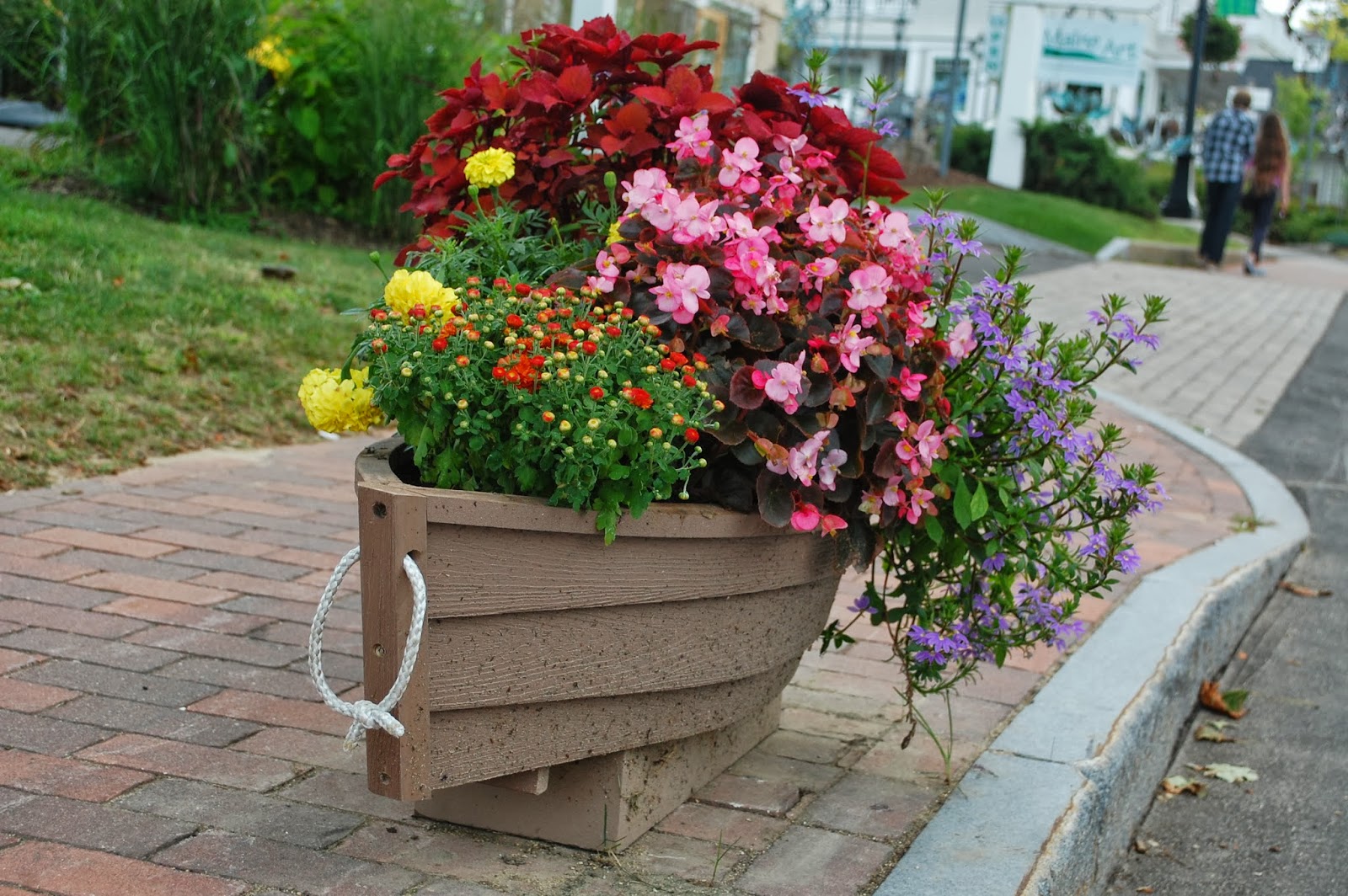 Sprouts Flowers Around Town Beautiful Kennebunkport, Maine