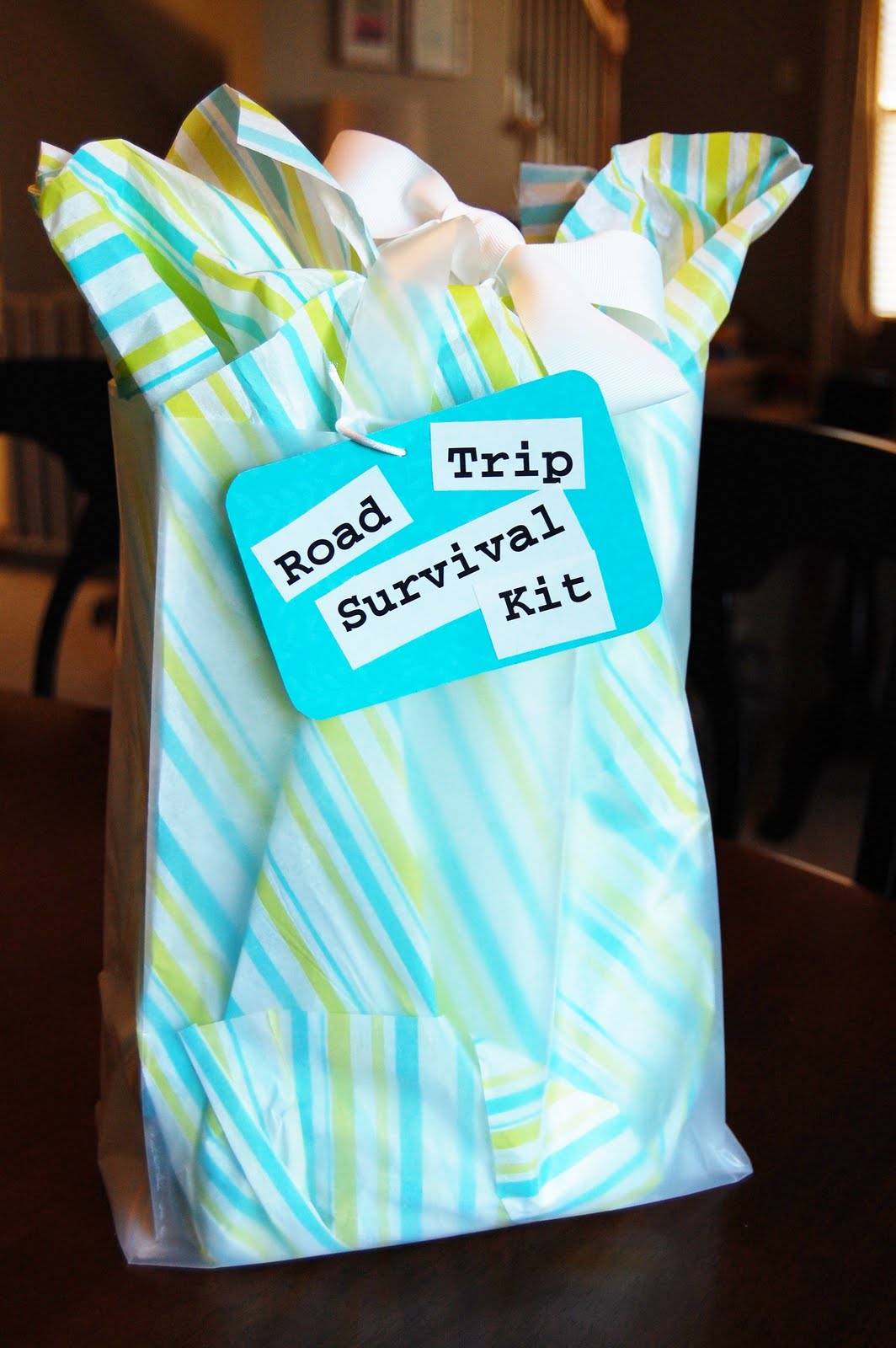 On the V Side Road Trip Survival Kit