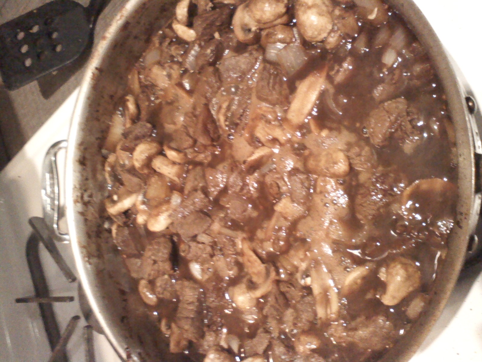 Beer Braised Beef Tips!!!!!!!!!!!! The Spirit of Taste