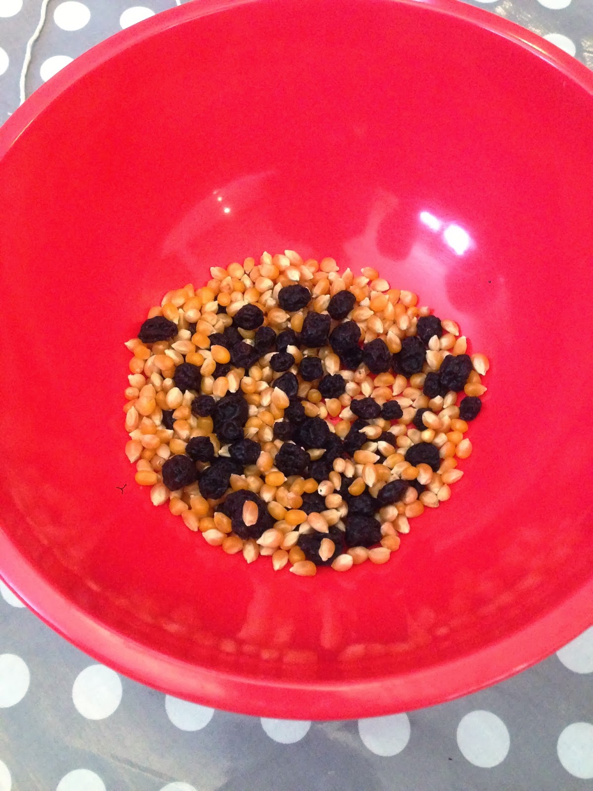 The Blue Barn Yogurt Pot Bird Feeders