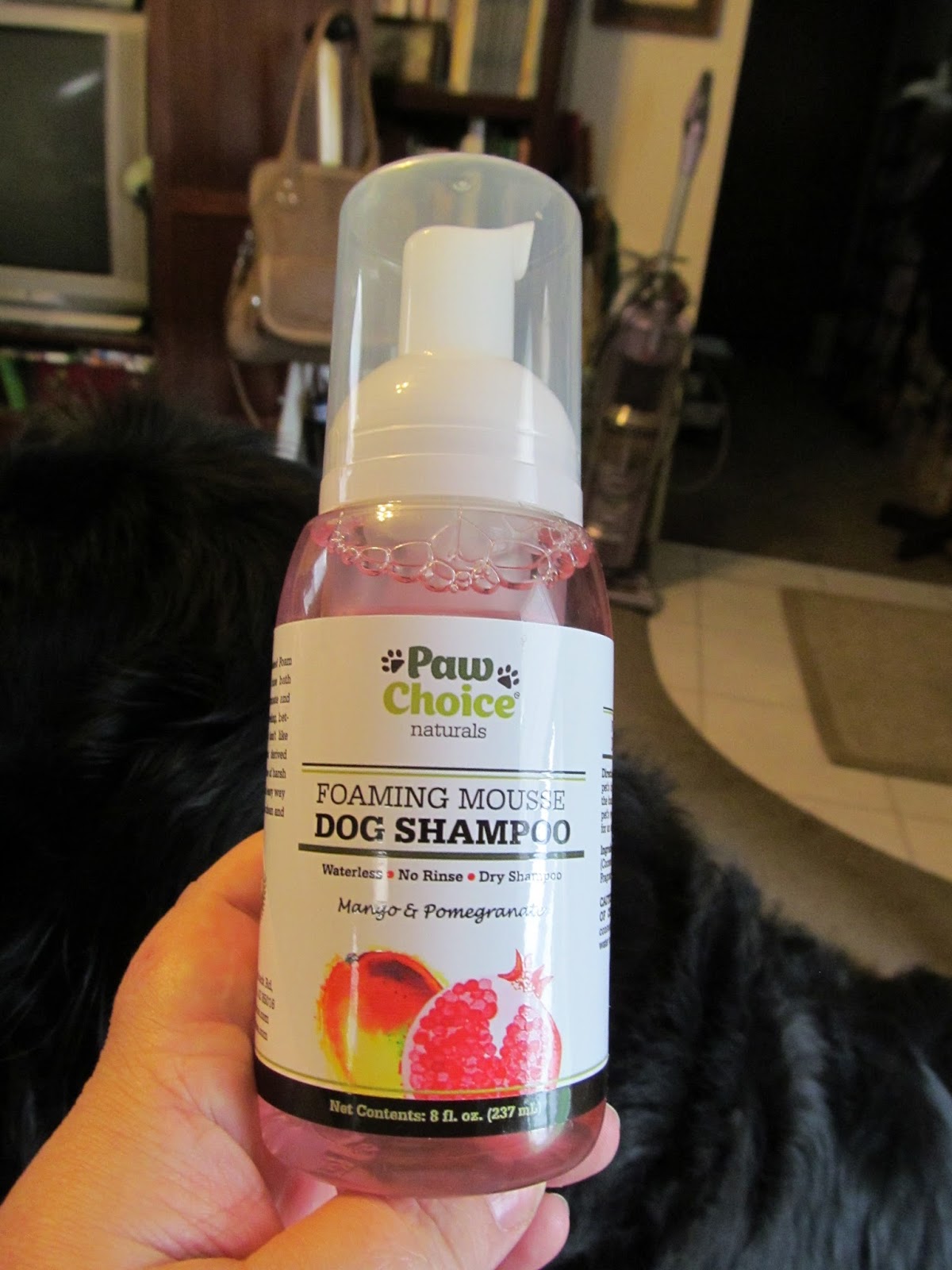 The Minister's Wife No More Stinky Dog, Even In The Summer