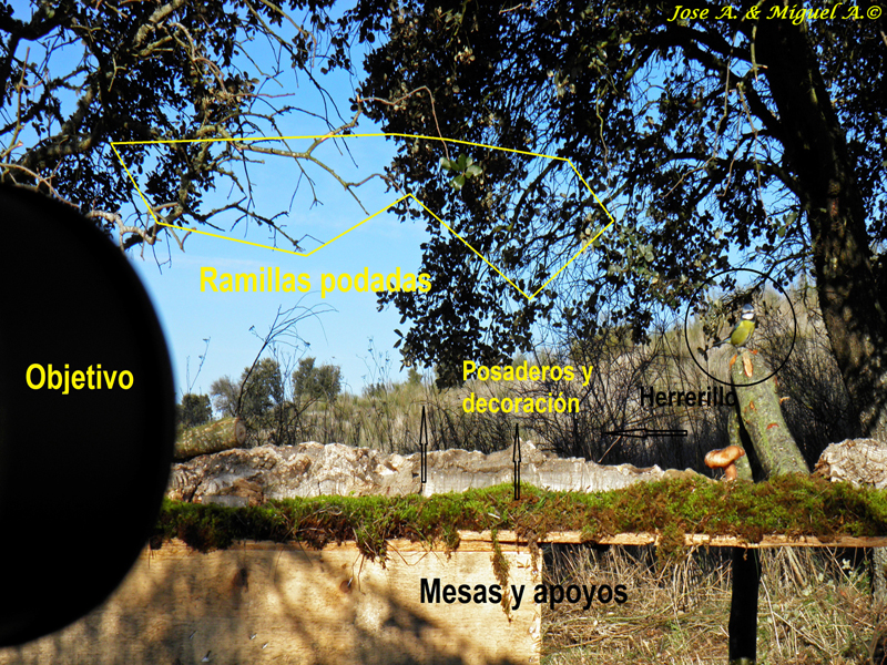 Flora, Fauna y Paisajismo del Suroeste Salmantino: enero 2012