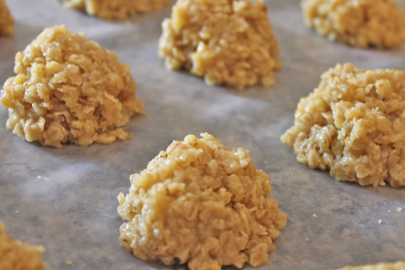 Cooking with Mandy Vanilla Oatmeal No Bake Cookies