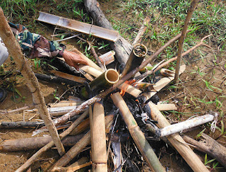 Cooking in bamboo survival cooking skills