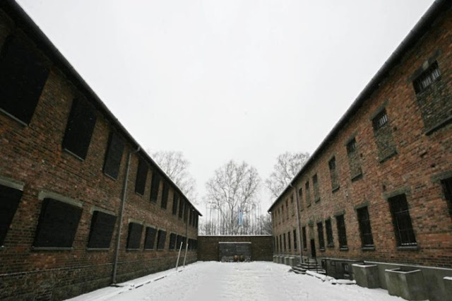 Campos de la Muerte de Auschwitz