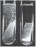 reaksi magnesium Mg dengan HCl asam klorida