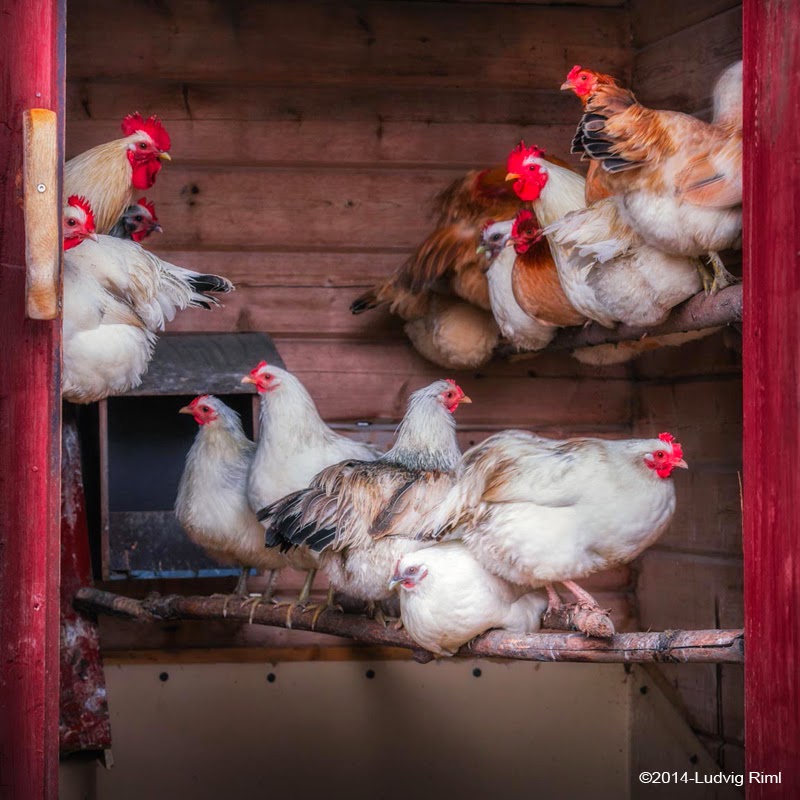 hur långt ska man gå på första dejten