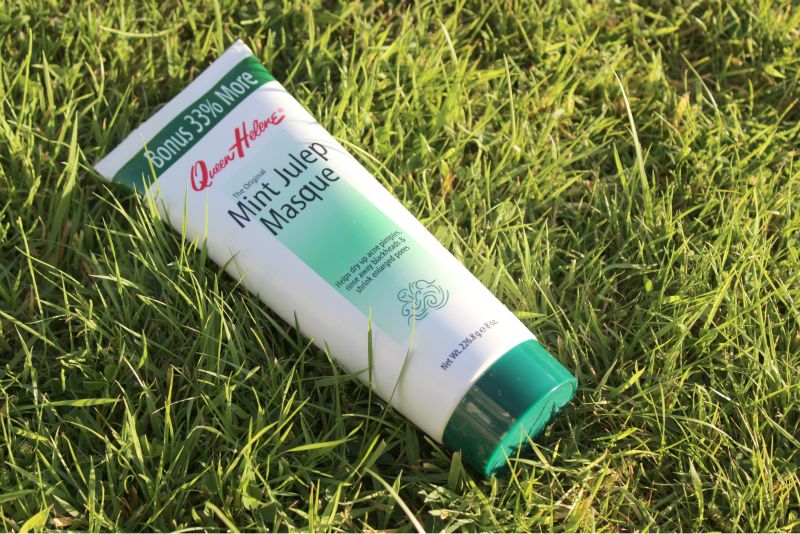 Queen Helene Mint Julep Face Mask Review The Sunday Girl