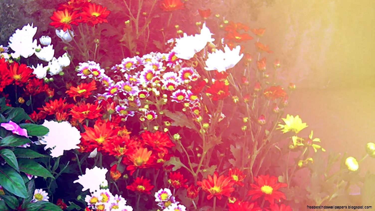 Below you can find pretty wallpapers to decorate your desktop hope Below you can find pretty wallpapers to decorate your desktop hope