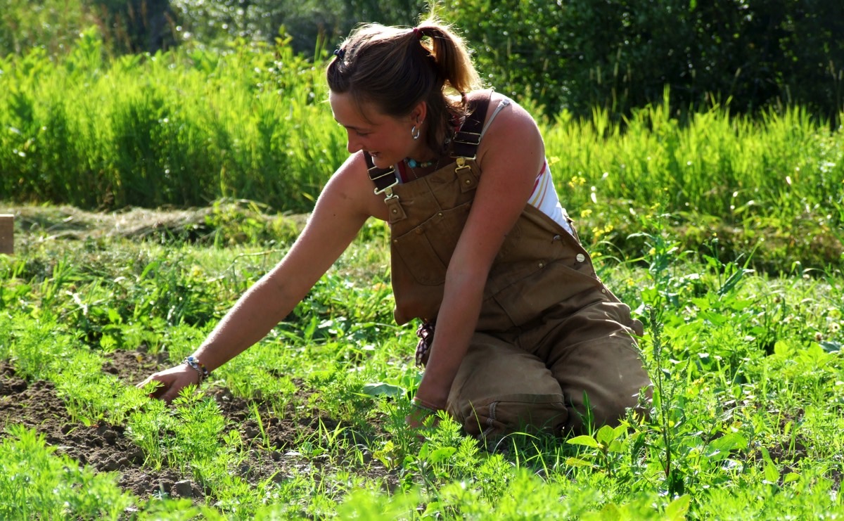 AGRICOLTURA, IL LAVORO E' SEMPRE PIU' GIOVANE! News Lavoro