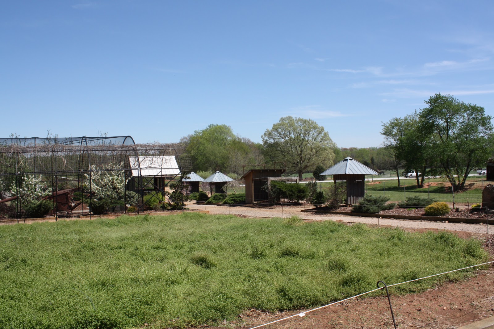 Lazy 5 Ranch in Mooresville, NC Mom About Charlotte