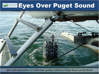Eyes Over Puget Sound