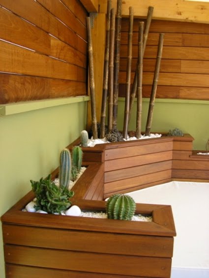 12 Maravillosos Jardines de Cactus · Diseños Creativos · Consejos para