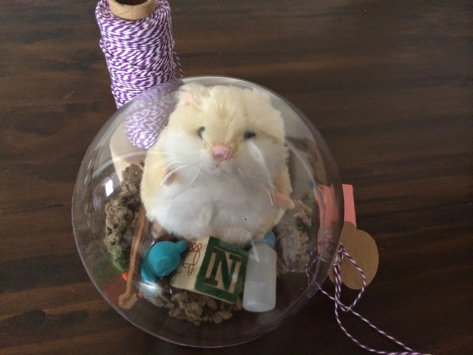 Karma (continued...) How to Throw a Hamster Birthday Party (Yes. Really.)