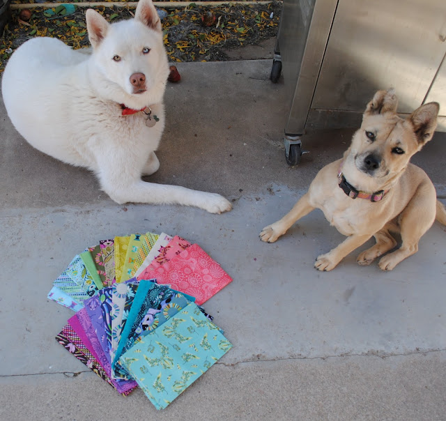 Tula Pink acacia fat quarters with cute dogs