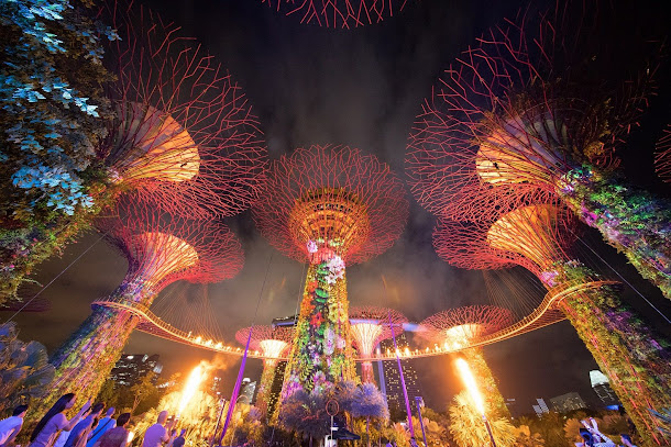 在6月3日和4日舉行的濱海灣花園五週年慶祝活動的「奇異大匯演」,其中的特效就包括了從華僑銀行空中走道和擎天樹叢的地面投射烈焰 在6月3日和4日舉行的濱海灣花園五週年慶祝活動的「奇異大匯演」,其中的特效就包括了從華僑銀行空中走道和擎天樹叢的地面投射烈焰