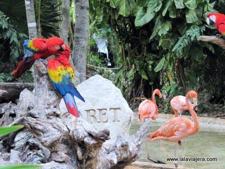 Parque Ecológico Xcaret, en la Riviera Maya mexicana
