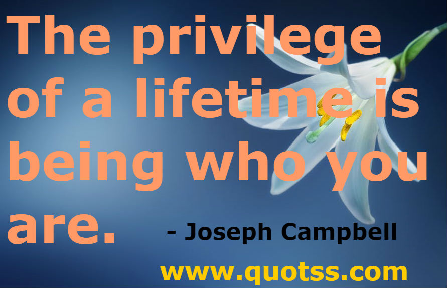 Image Quote on Quotss -  The privilege of a lifetime is being who you are. by