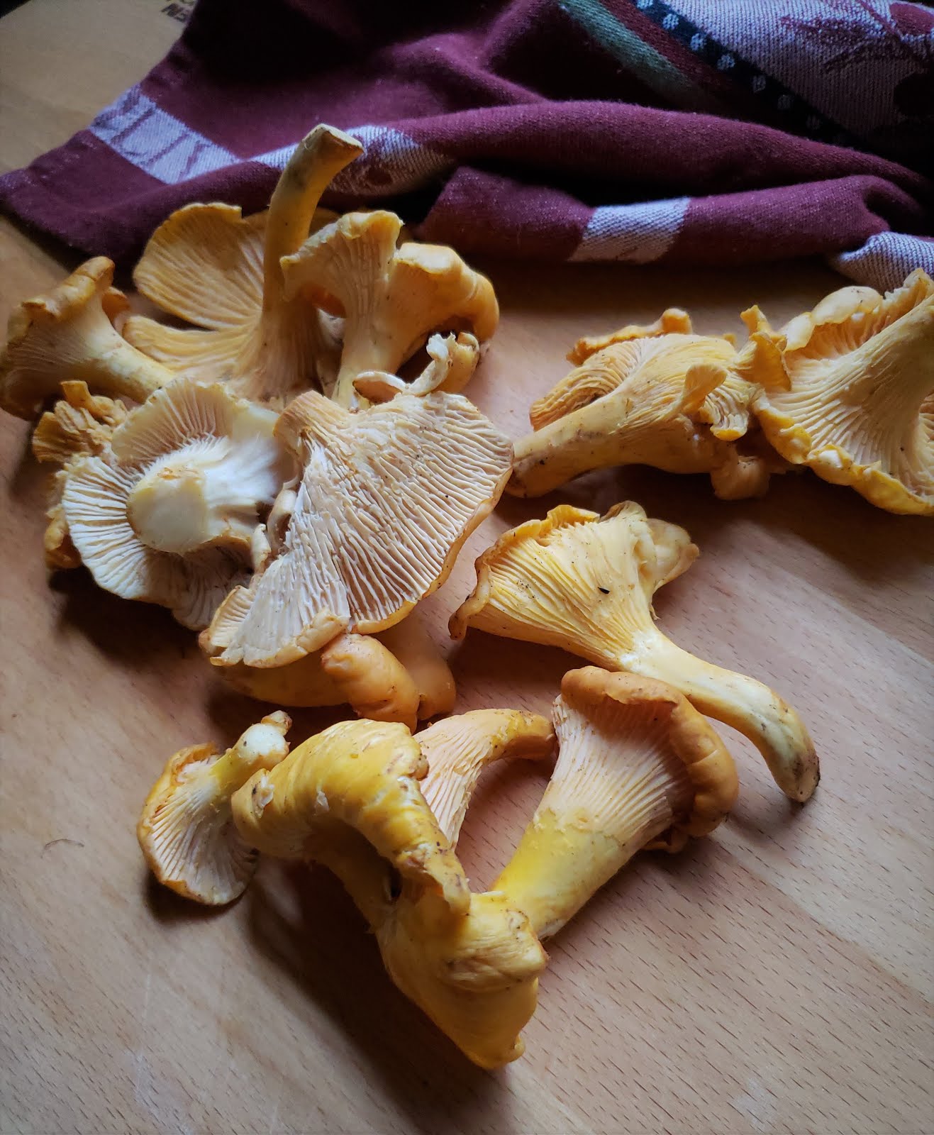 For Love of the Table A few ideas for Chanterelles season