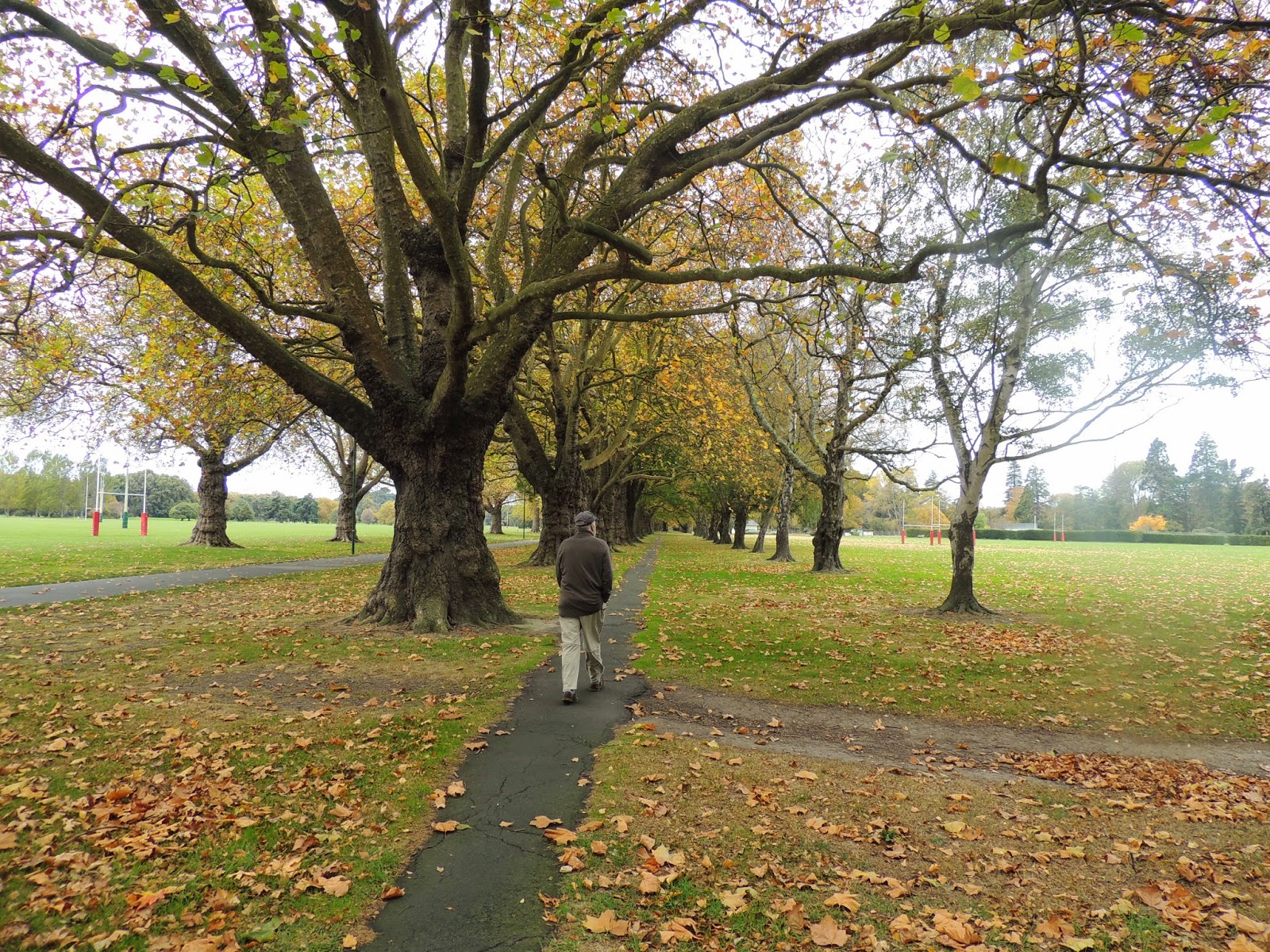 THE ROAD TAKEN Hagley Park + Christchurch Botanic Gardens