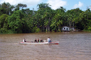 . junto ao rio Tocantins no Delta do Amazonas, no norte brasileiro.