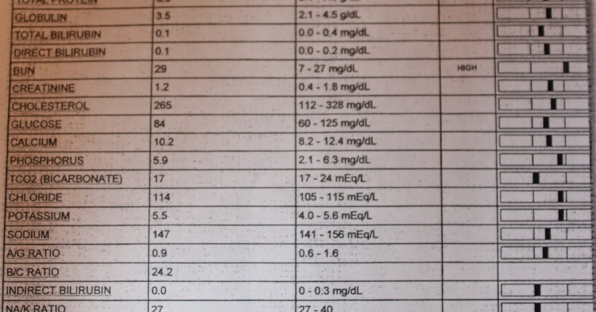 Know Thy Dog YOUR DOG'S BLOODWORK IS A PRICELESS TOOL FOR THE VETERINARIAN