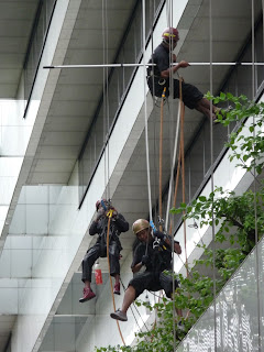 Travailleurs encordés sur Orchard Road Orchard Road : laveurs de carreaux encordés