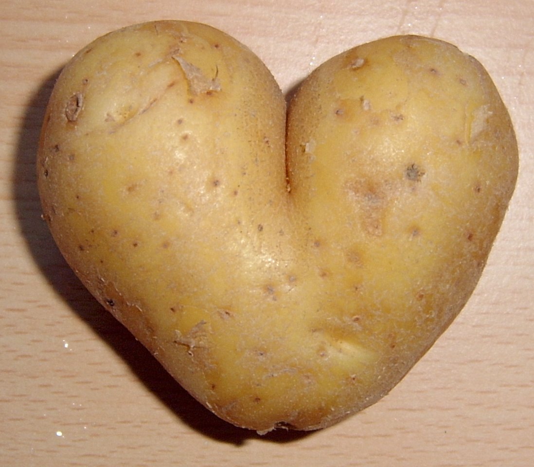 Potato Means the valentines cupid s arrow potato Potato Means the valentines cupid s arrow potato