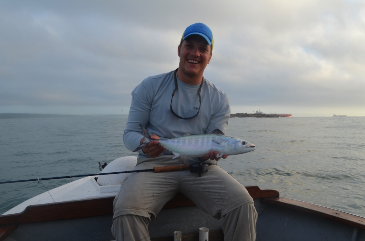 born to fly fish Atlantic Bonito in Mossel Bay