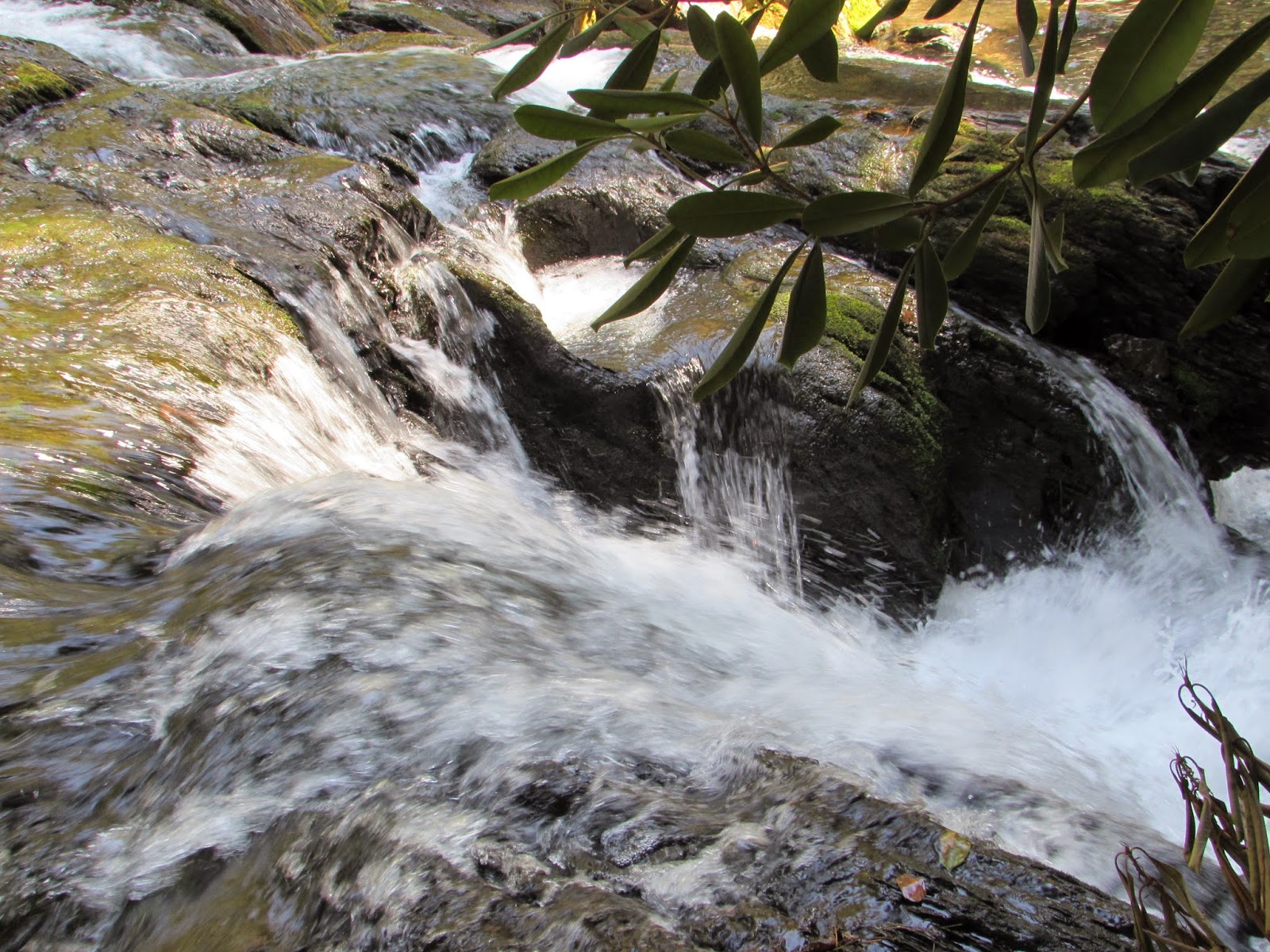 Wild Creek Waterfall, Beltzville State Park, Carbon County, PA