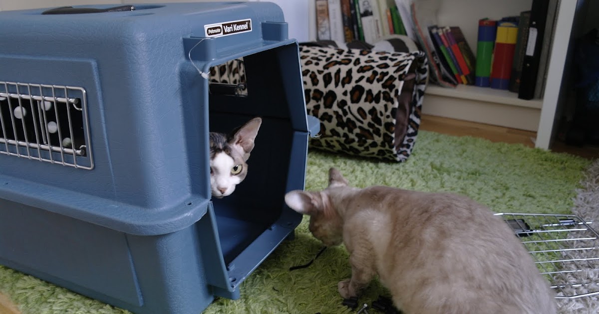 The Operacats Airline approved pet carriers