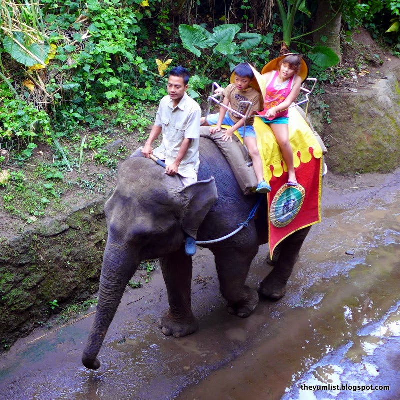 Elephant Back Safari bali safari and marine park